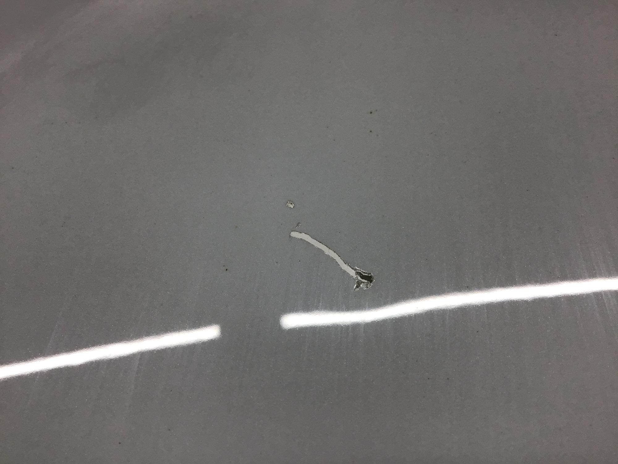 Капот, Audi A5/S5 2017>