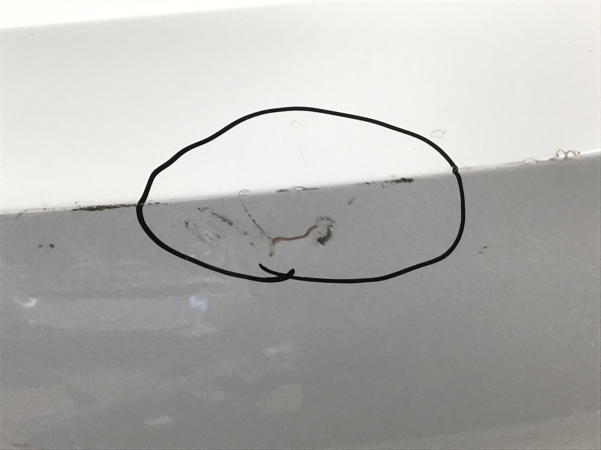 Дверь багажника, Skoda Superb 2015>