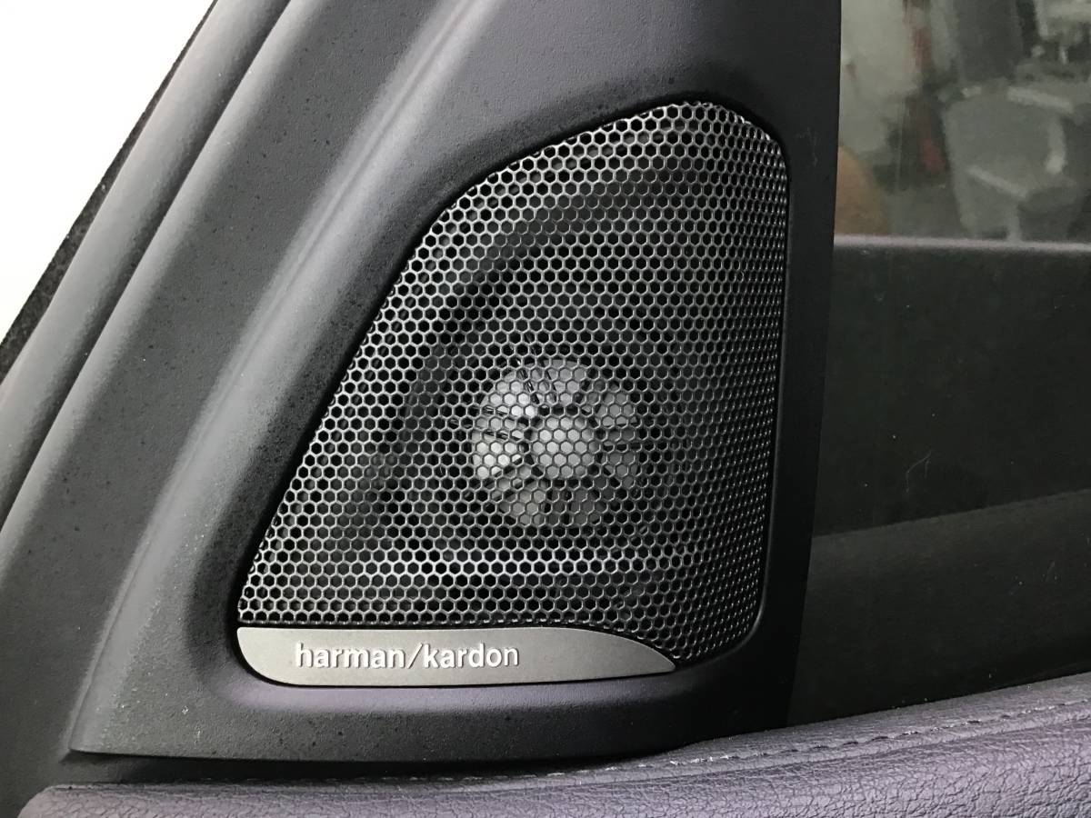 Дверь передняя правая BMW X6 F16/F86 2014> Дверь передняя правая BMW X6 F16/F86 2014>