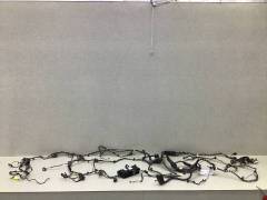 Проводка салона Ford Focus 3 (CB8) 2011-2019