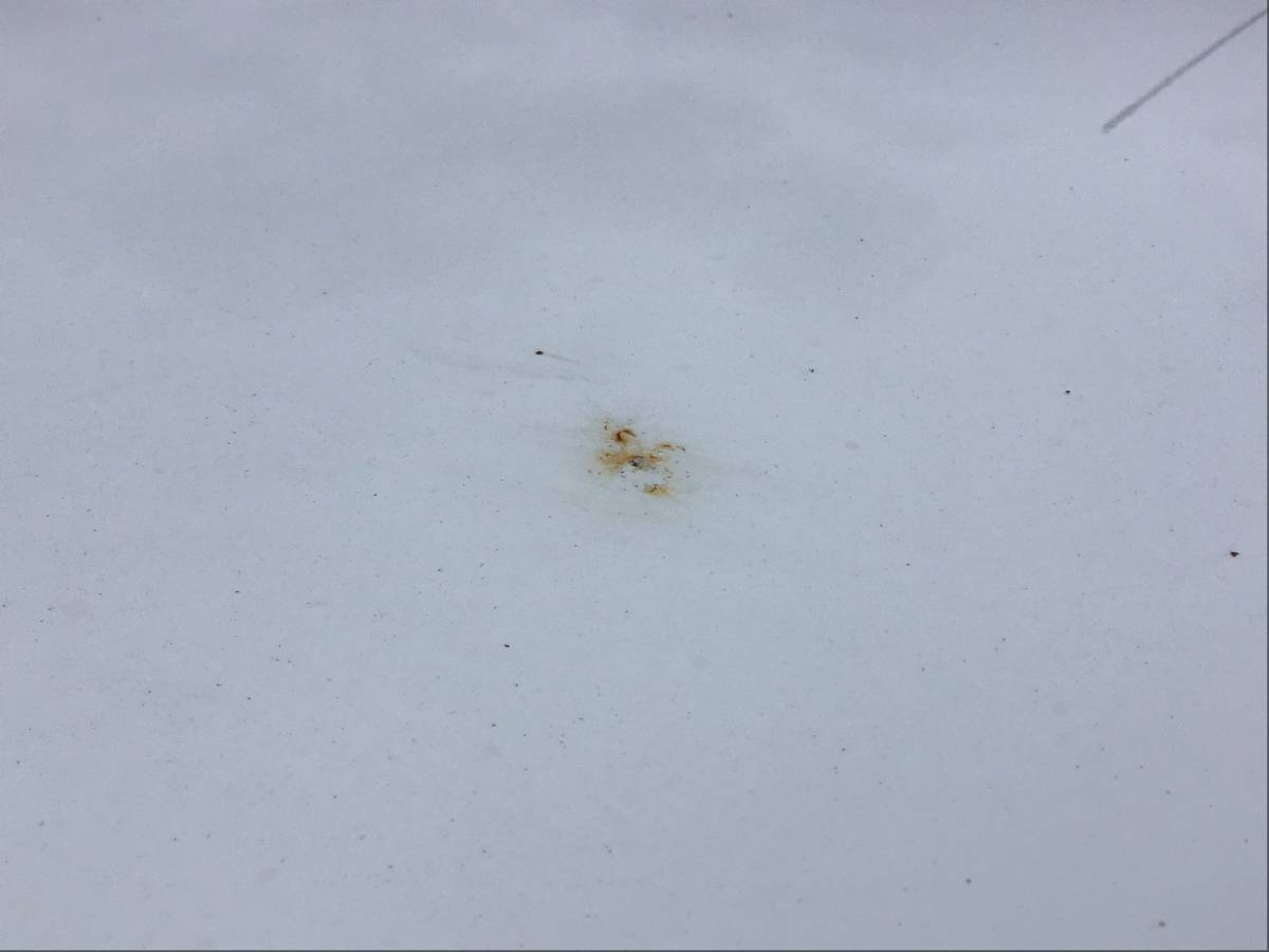 Крыша Datsun on-DO (2195) 2014-2021