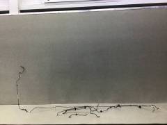 Трубка тормозная JAC JS6 2022>